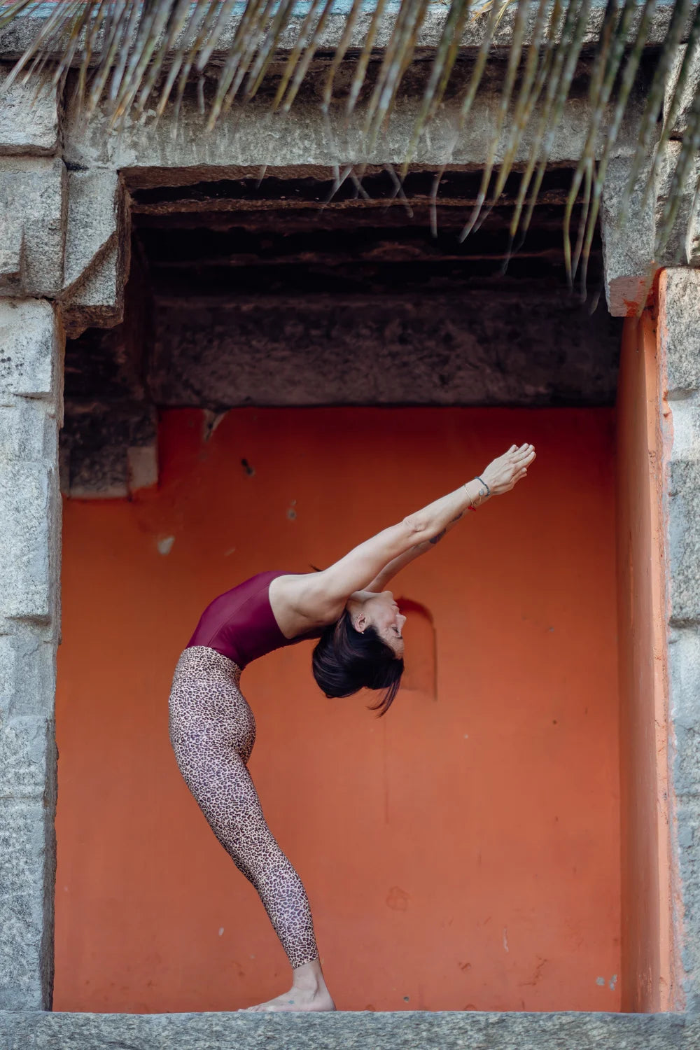 Chleo Animal Legging